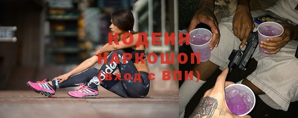 ГАЛЛЮЦИНОГЕННЫЕ ГРИБЫ Баксан