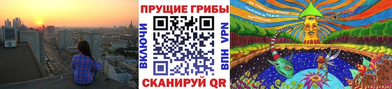 Псилоцибиновые грибы мухоморы  Дорогобуж 